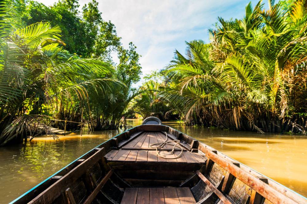 Una barca percorre il canale Ben Tre, fiancheggiato su entrambi i lati da file di palme da cocco.